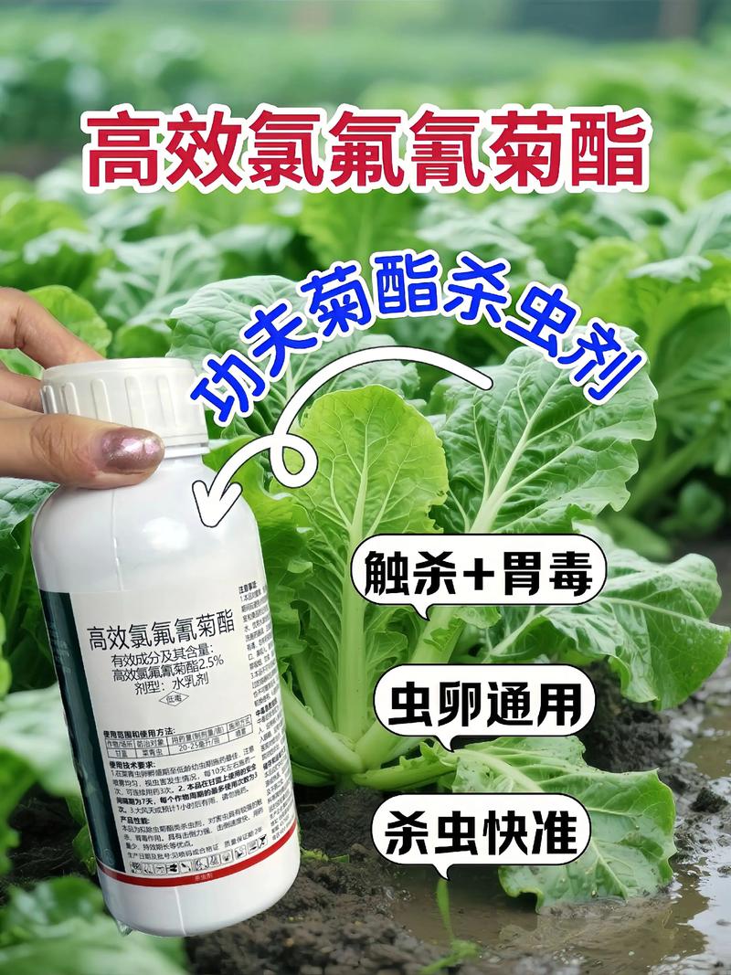 中卫代生中心:农药对供卵代生妈妈的危害